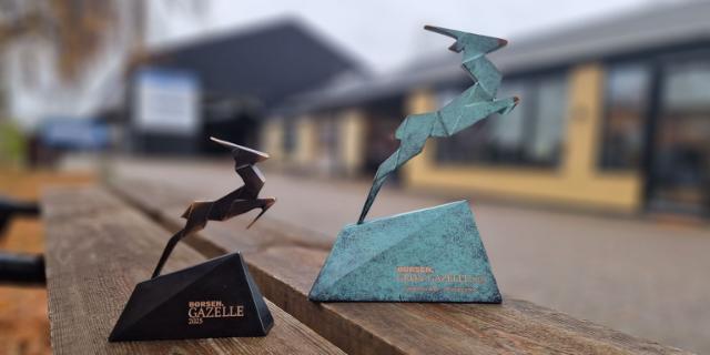 Børsen Grøn Gazelle